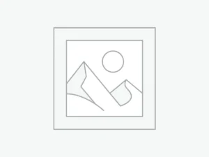 Nouvel Arrivage Texte indicatif